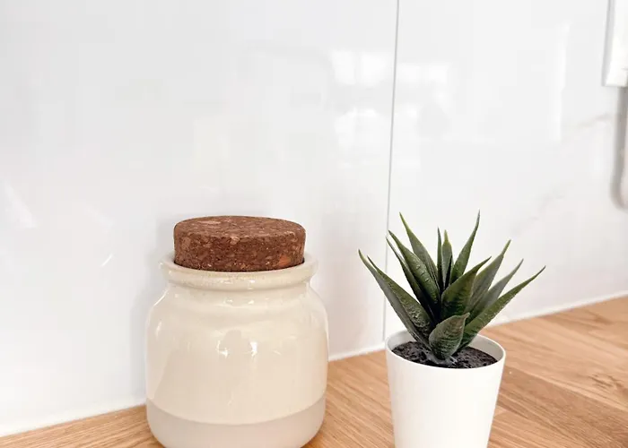 Onda 81 شقة نازاريه